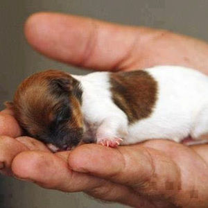 Meet your Posher, Kavya